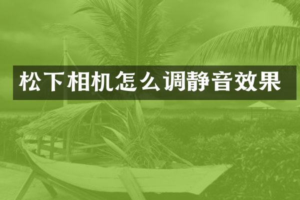 相机怎么调静音效果