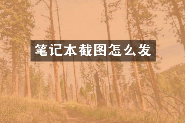 笔记本截图怎么发