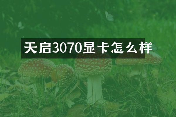 天启3070显卡怎么样