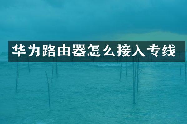 华为路由器怎么接入专线