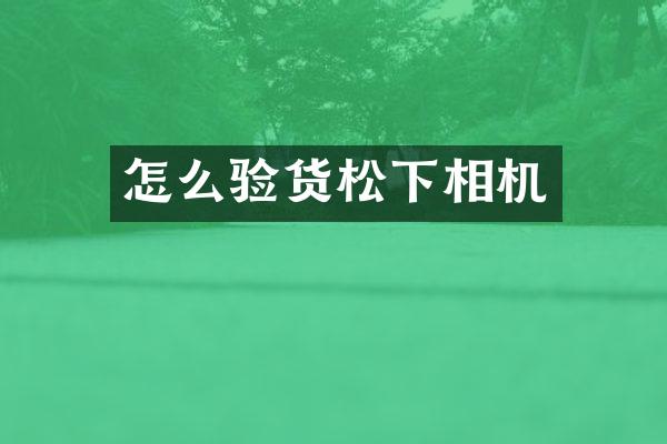 怎么验货相机
