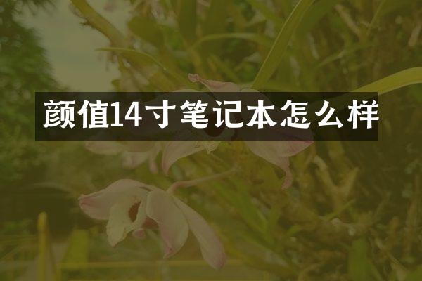颜值14寸笔记本怎么样