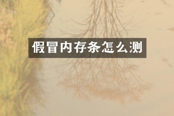 假冒内存条怎么测