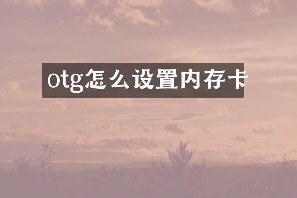 otg怎么设置内存卡