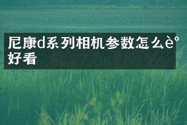 尼康d系列相机参数怎么调好看