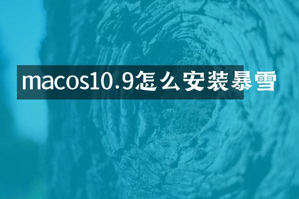 macos10.9怎么安装暴雪