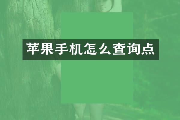 苹果手机怎么查询点