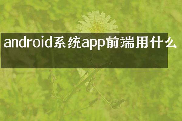 android系统app前端用什么写