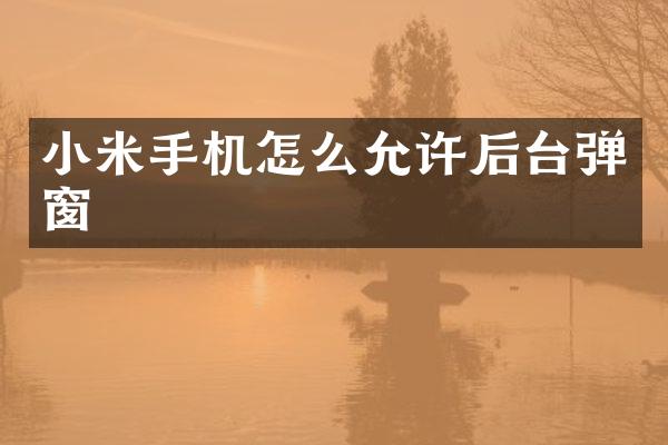 小米手机怎么允许后台弹窗