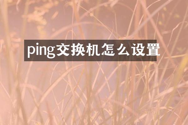ping交换机怎么设置