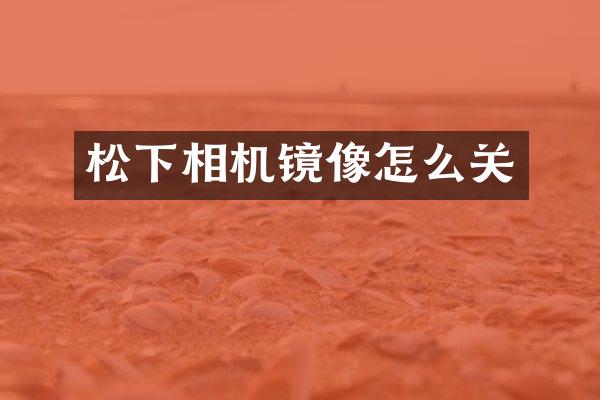 相机镜像怎么关