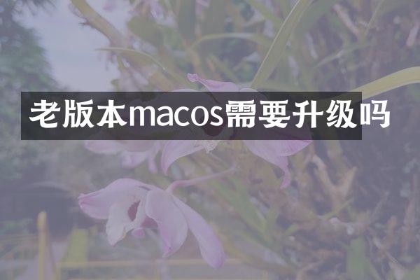 老版本macos需要升级吗