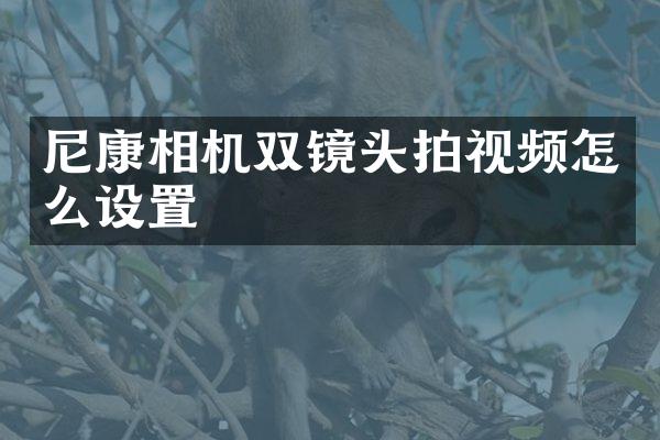 尼康相机双镜头拍视频怎么设置