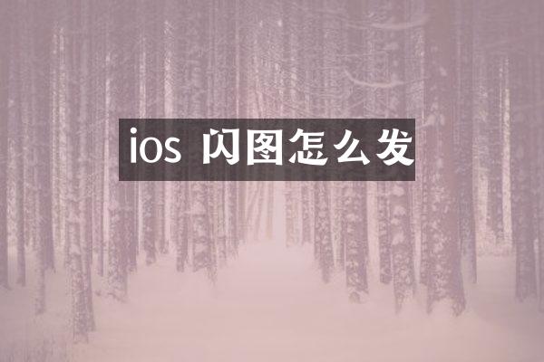 ios 闪图怎么发