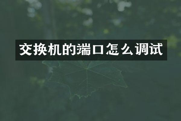 交换机的端口怎么调试