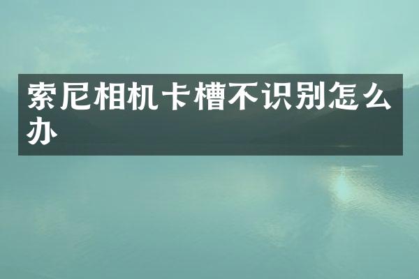 相机卡槽不识别怎么办