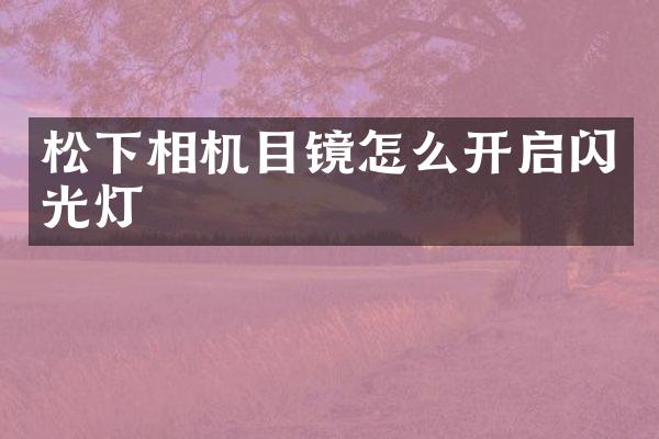 相机目镜怎么开启闪光灯