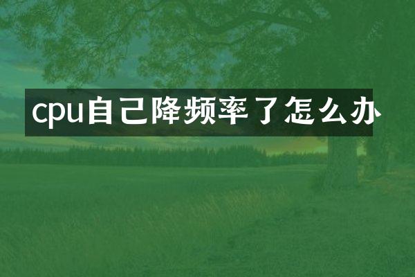 cpu自己降频率了怎么办
