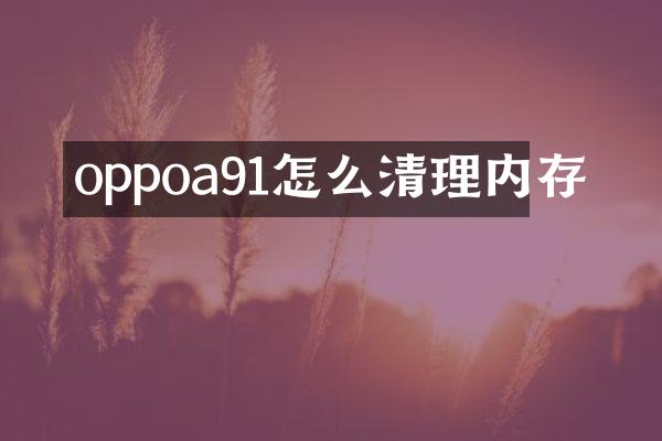 oppoa91怎么清理内存