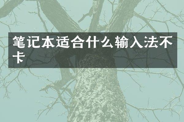 笔记本适合什么输入法不卡