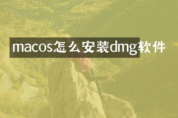 macos怎么安装dmg软件