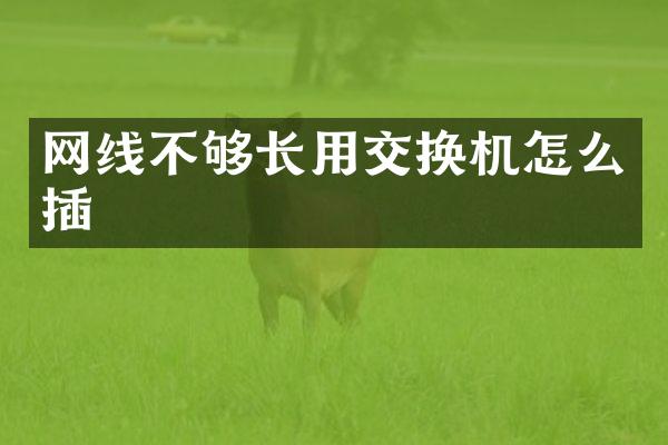 网线不够长用交换机怎么插
