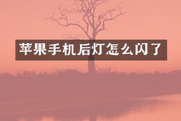 苹果手机后灯怎么闪了