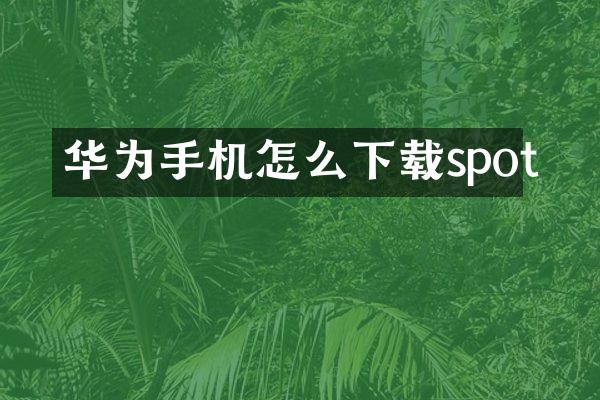 华为手机怎么下载spot
