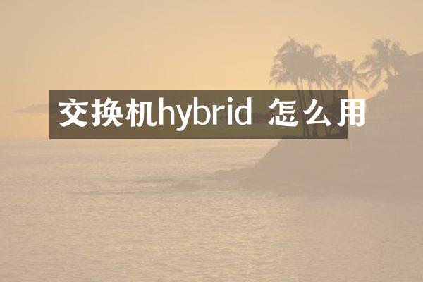 交换机hybrid 怎么用