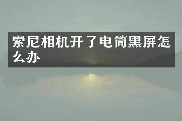相机开了电筒黑屏怎么办