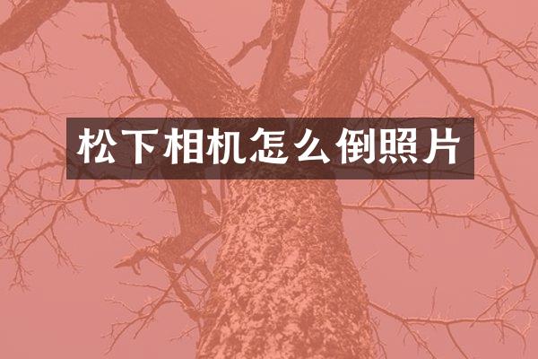 相机怎么倒照片