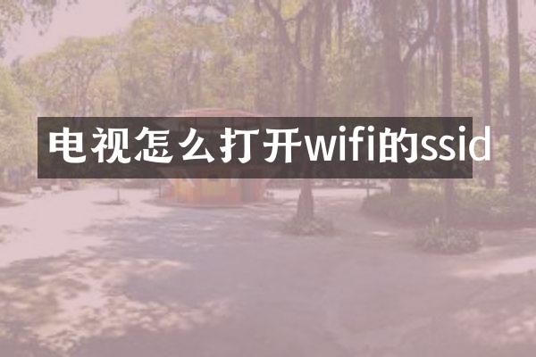电视怎么打开wifi的ssid