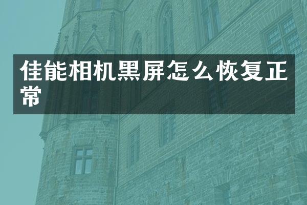佳能相机黑屏怎么恢复正常