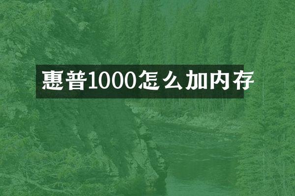 惠普1000怎么加内存