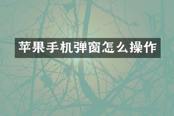 苹果手机弹窗怎么操作