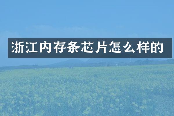 浙江内存条芯片怎么样的
