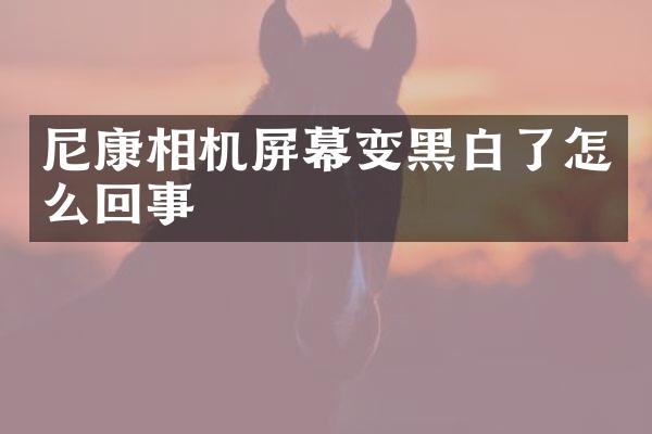 尼康相机屏幕变黑白了怎么回事