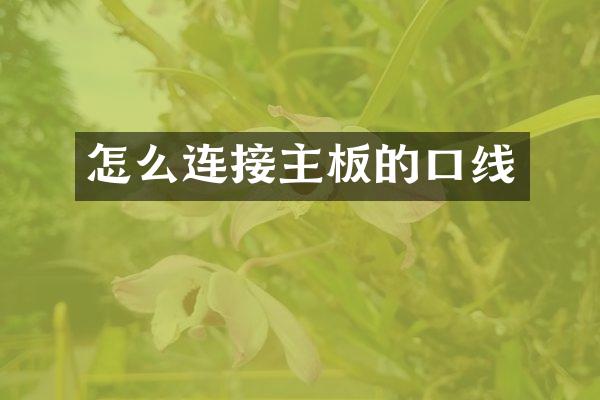 怎么连接主板的口线