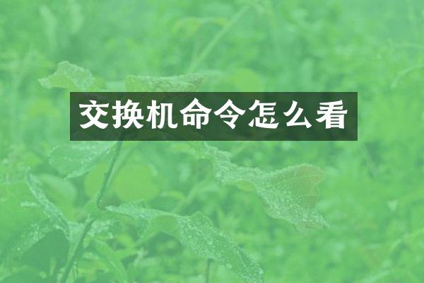 交换机命令怎么看