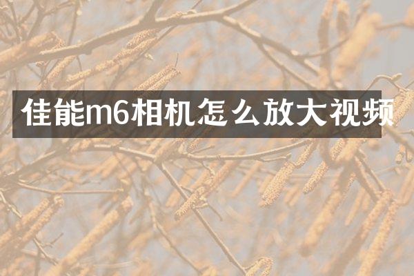 佳能m6相机怎么放大视频