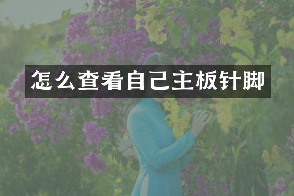 怎么查看自己主板针脚