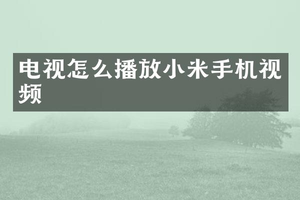 电视怎么播放小米手机视频