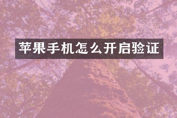 苹果手机怎么开启验证