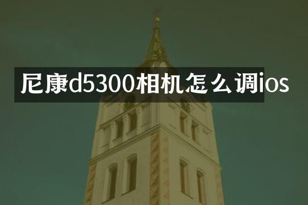 尼康d5300相机怎么调ios