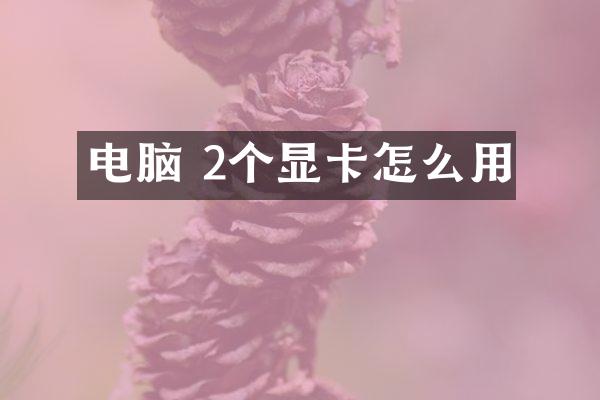 电脑 2个显卡怎么用