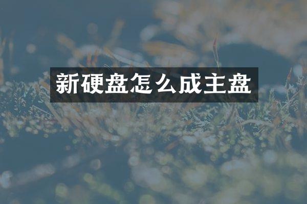 新硬盘怎么成主盘