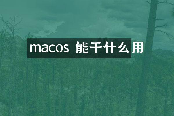 macos 能干什么用