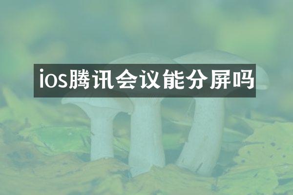 ios腾讯会议能分屏吗
