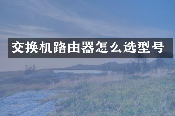 交换机路由器怎么选型号