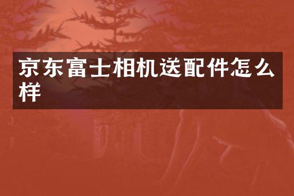 京东富士相机送配件怎么样